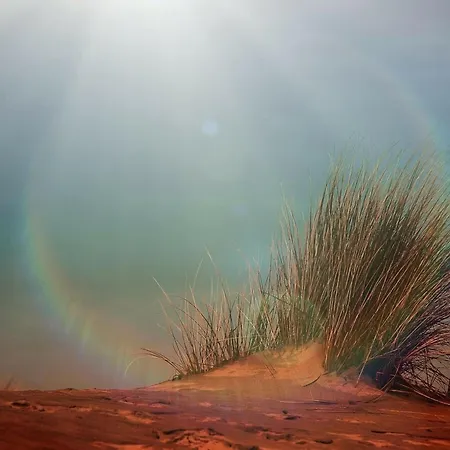 Ostland Modern Retreat * Borkum